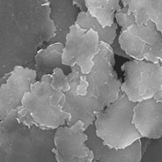 磷酸鐵錳鋰電池材料