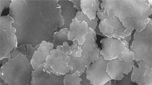 重磅！超威集團(tuán)簽約石墨烯之父