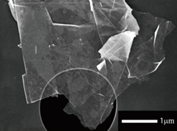 高比表面積石墨烯納米粉體3nm